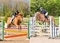 NAF Five Star Bronze and Silver League Qualifiers get underway at Speetley Equestrian Centre 